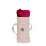  Mila-Roses-00898 Mila Velvet Baby Old Pink Velvet Baby - Fuchsia