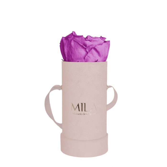 Mila Velvet Baby Old Pink Velvet Baby - Mauve