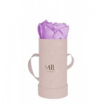  Mila-Roses-00902 Mila Velvet Baby Old Pink Velvet Baby - Lavender