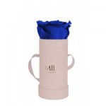  Mila-Roses-00903 Mila Velvet Baby Old Pink Velvet Baby - Royal blue