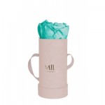  Mila-Roses-00904 Mila Velvet Baby Old Pink Velvet Baby - Aquamarine