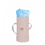  Mila-Roses-00905 Mila Velvet Baby Old Pink Velvet Baby - Baby blue