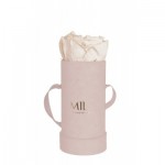  Mila-Roses-00910 Mila Velvet Baby Old Pink Velvet Baby - Champagne