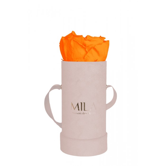 Mila Velvet Baby Old Pink Velvet Baby - Orange Bloom