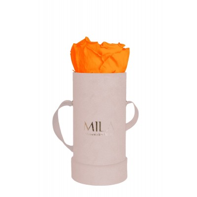 Produit Mila-Roses-00911 Mila Velvet Baby Old Pink Velvet Baby - Orange Bloom