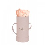  Mila-Roses-00914 Mila Velvet Baby Old Pink Velvet Baby - Pure Peach