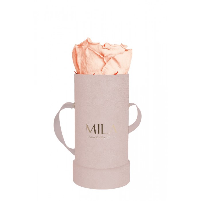 Mila Velvet Baby Old Pink Velvet Baby - Pure Peach