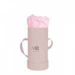  Mila-Roses-00915 Mila Velvet Baby Old Pink Velvet Baby - Pink Blush