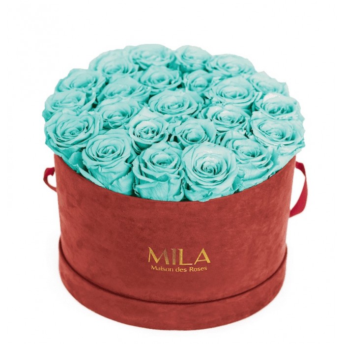 Mila Burgundy Velvet Large - Aquamarine