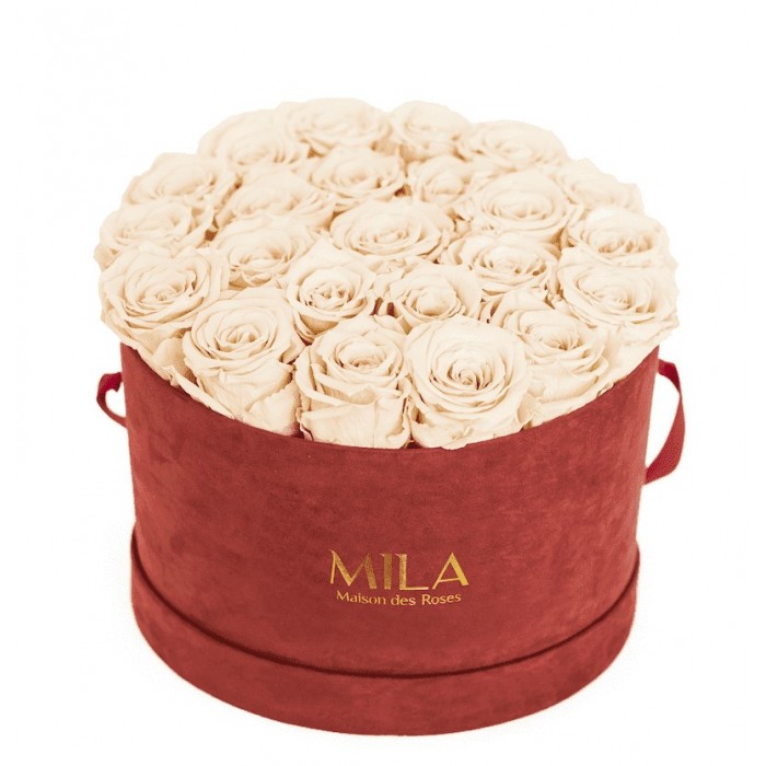 Mila Burgundy Velvet Large - Champagne