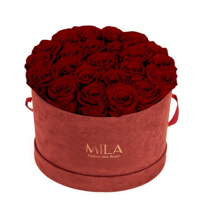 Mila Burgundy Velvet Large