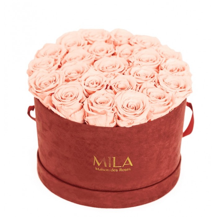 Mila Burgundy Velvet Large - Pure Peach