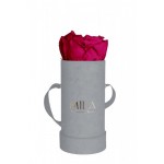  Mila-Roses-00946 Mila Velvet Baby Light Grey Velvet Baby - Fuchsia