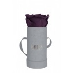  Mila-Roses-00947 Mila Velvet Baby Light Grey Velvet Baby - Velvet purple