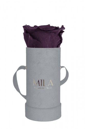 Produit Mila-Roses-00947 Mila Velvet Baby Light Grey Velvet Baby - Velvet purple