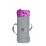  Mila-Roses-00949 Mila Velvet Baby Light Grey Velvet Baby - Mauve