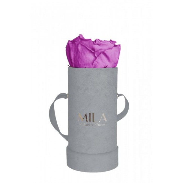 Mila Velvet Baby Light Grey Velvet Baby - Mauve