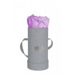  Mila-Roses-00950 Mila Velvet Baby Light Grey Velvet Baby - Lavender