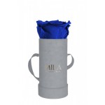  Mila-Roses-00951 Mila Velvet Baby Light Grey Velvet Baby - Royal blue