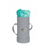  Mila-Roses-00952 Mila Velvet Baby Light Grey Velvet Baby - Aquamarine