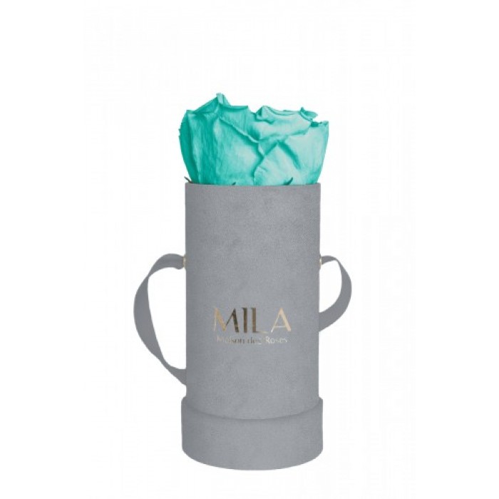 Mila Velvet Baby Light Grey Velvet Baby - Aquamarine