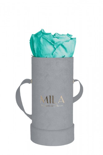 Produit Mila-Roses-00952 Mila Velvet Baby Light Grey Velvet Baby - Aquamarine