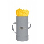  Mila-Roses-00954 Mila Velvet Baby Light Grey Velvet Baby - Yellow Sunshine