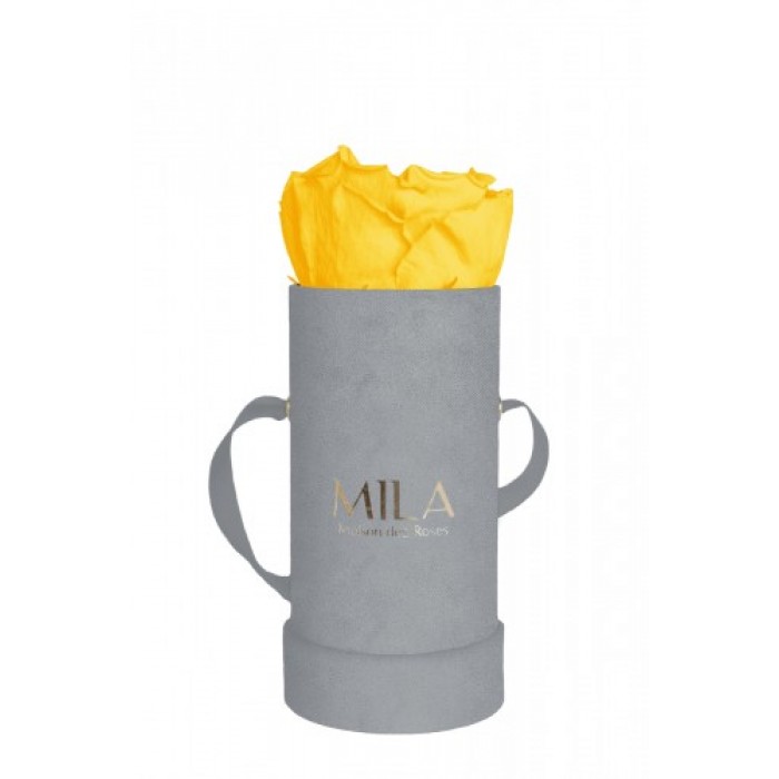 Mila Velvet Baby Light Grey Velvet Baby - Yellow Sunshine