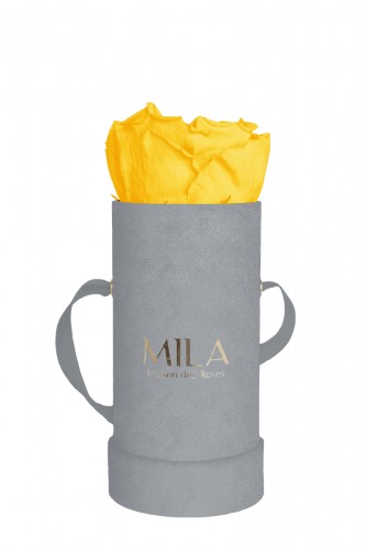 Produit Mila-Roses-00954 Mila Velvet Baby Light Grey Velvet Baby - Yellow Sunshine