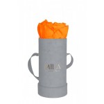  Mila-Roses-00959 Mila Velvet Baby Light Grey Velvet Baby - Orange Bloom