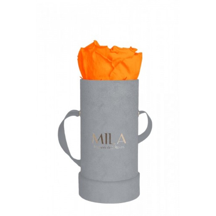 Mila Velvet Baby Light Grey Velvet Baby - Orange Bloom