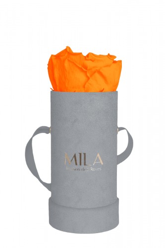 Produit Mila-Roses-00959 Mila Velvet Baby Light Grey Velvet Baby - Orange Bloom