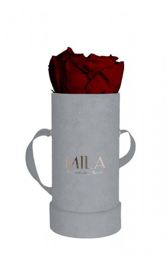 Produit Mila-Roses-00960 Mila Velvet Baby Light Grey Velvet Baby - Rubis Rouge