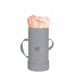  Mila-Roses-00962 Mila Velvet Baby Light Grey Velvet Baby - Pure Peach