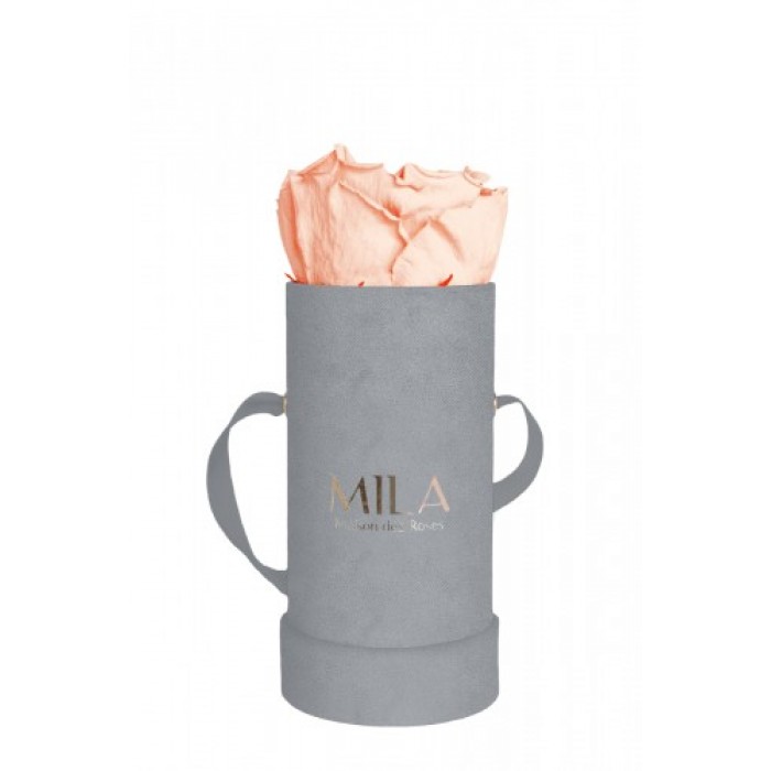 Mila Velvet Baby Light Grey Velvet Baby - Pure Peach