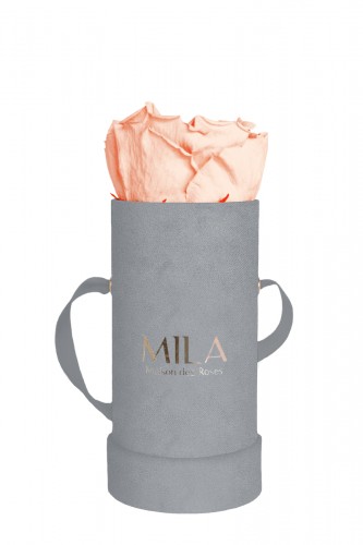 Produit Mila-Roses-00962 Mila Velvet Baby Light Grey Velvet Baby - Pure Peach