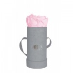  Mila-Roses-00963 Mila Velvet Baby Light Grey Velvet Baby - Pink Blush