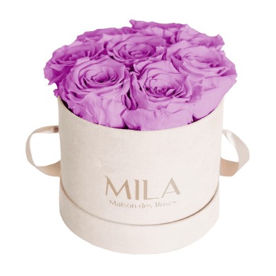 Produit Mila-Roses-00973 Mila Velvet Small Nude Velvet Small - Mauve