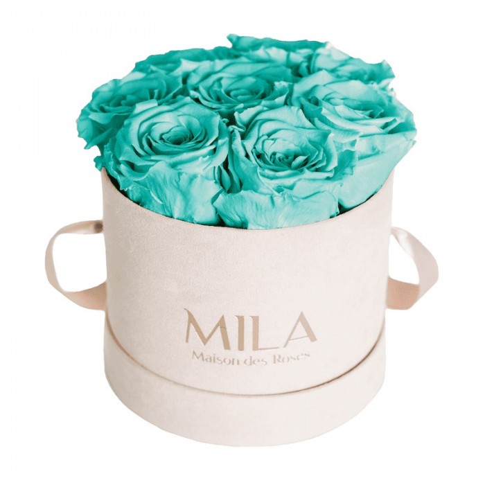 Mila Velvet Small Nude Velvet Small - Aquamarine