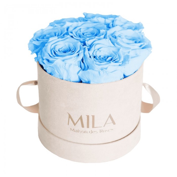 Mila Velvet Small Nude Velvet Small - Baby blue