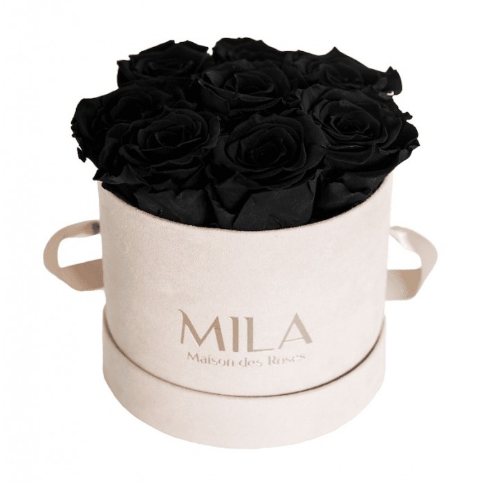 Mila Velvet Small Nude Velvet Small - Black Velvet