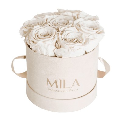 Produit Mila-Roses-00990 Mila Velvet Small Nude Velvet Small - White Cream