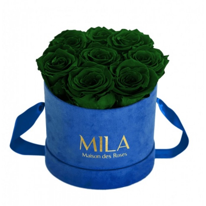 Mila Velvet Small Royal Blue Velvet Small - Emeraude