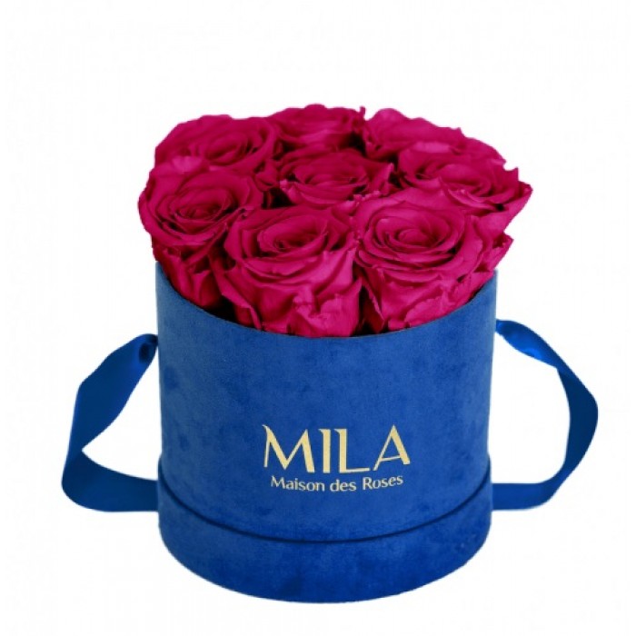 Mila Velvet Small Royal Blue Velvet Small - Fuchsia