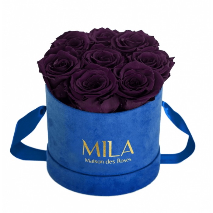 Mila Velvet Small Royal Blue Velvet Small - Velvet purple