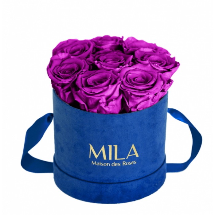 Mila Velvet Small