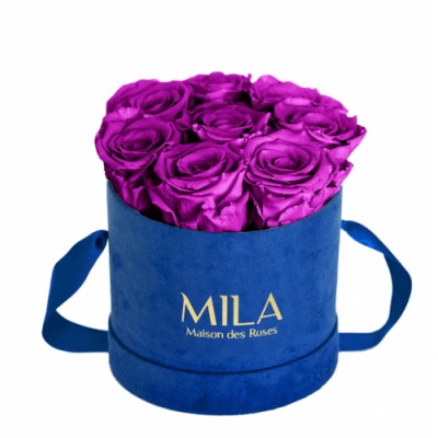 Produit Mila-Roses-00996 Mila Velvet Small Royal Blue Velvet Small - Violin