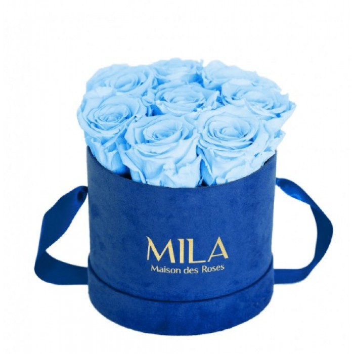 Mila Velvet Small Royal Blue Velvet Small - Baby blue