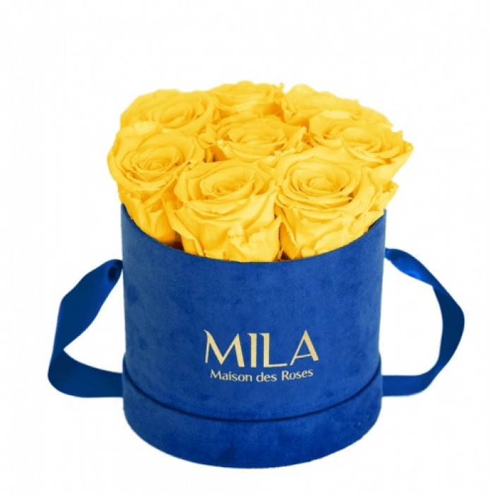 Mila Velvet Small Royal Blue Velvet Small - Yellow Sunshine