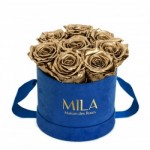  Mila-Roses-01005 Mila Velvet Small Royal Blue Velvet Small - Metallic Gold